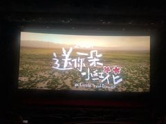 -飞扬影城(正佳IMAX店)