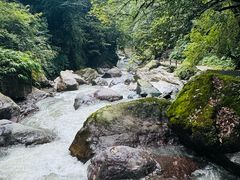 -西岭雪山大飞水景区
