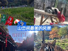 -栾川竹海野生动物园