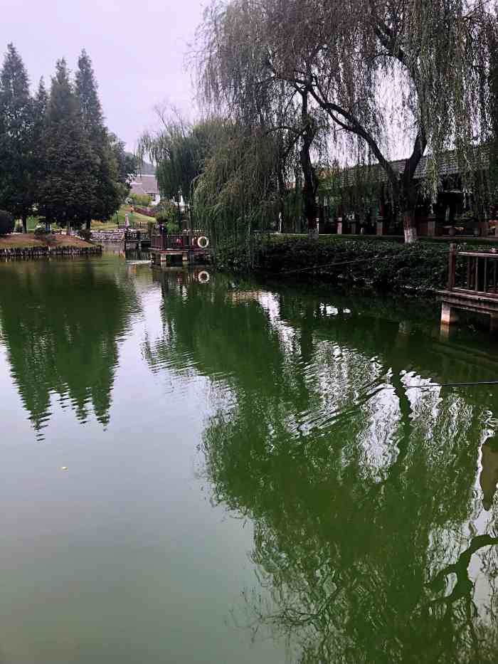 日月碳酸温泉-"趁着周末带娃打卡青龙山庄,值得推荐的是位.
