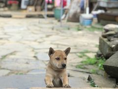 -许家山