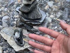 -稻城亚丁风景区-电瓶观光车售票处