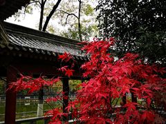 -莲湖公园
