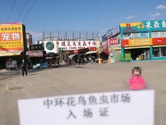 -中环花鸟鱼虫市场