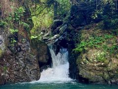 -广州市流溪河国家森林公园
