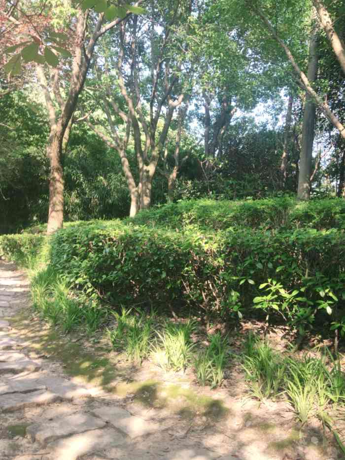 金枫公园-"环境一直都是可以的了,王港这边最大的公园.