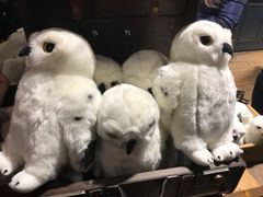 -九又四分之三站台哈利波特商店