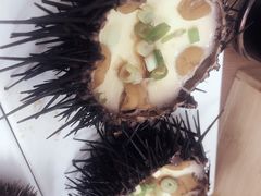 -海胆小馆(东北水饺·春柳店)