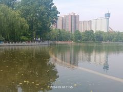 -莲花池公园