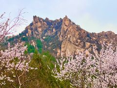-北京凤凰岭