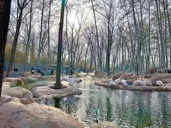 -北京野生动物园