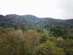 -野象谷景区