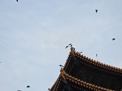 -故宫博物院(故宫)