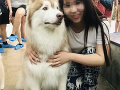 -TrueLove @ Neverland (Husky Cafe)