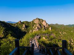 -大岭沟猕猴桃谷风景区