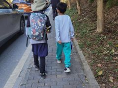 -黄埔油麻山森林公园