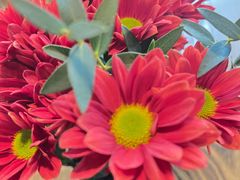 -Apollo·西班牙小酒馆(安福路店)