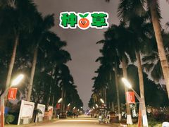 -万绿园