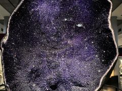 -美国自然历史博物馆