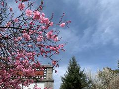 -塔尔寺
