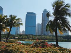 -万绿园