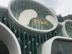 -成都大熊猫繁育研究基地