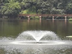 -重庆彩云湖湿地公园