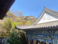 -石老人观光园