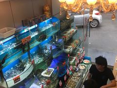 -蔚海之都·象山蒸汽海鲜(仙霞路店)