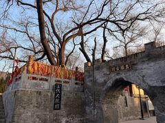 -大槐树寻根祭祖园