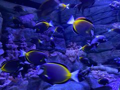 -成都浩海立方海洋公园