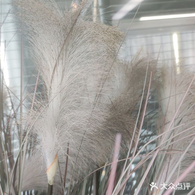 郑州二七万达最低调的理发店探探