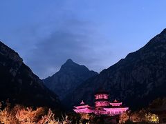 -禅宗少林·音乐大典