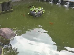 -隆荟•台州菜•粤菜