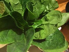 菠菜-手选潮汕鲜活牛肉火锅(二七广场店)