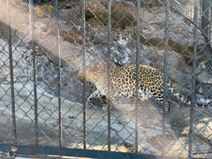 -大连森林动物园