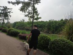 -白鹭湾湿地公园