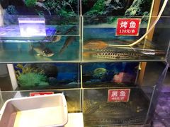 水产区-七裕庄(凯旋南路店)