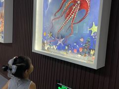 -贝壳王国博物馆