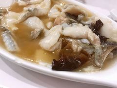 糟溜鲈鱼片-雪园上海饭店(港湾1号店)