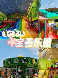 -宝燕乐园(闵行旗舰店)