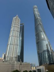 -巍阁高端月子会所