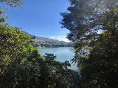-佛山市三水区大南山森林公园
