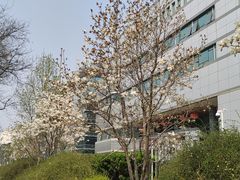 -Side Street街旁(交道口店)
