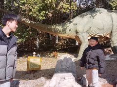 -郑州方特欢乐世界