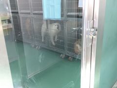 -东方动物医院·宠保定点·骨科·转诊中心(春城路·昆明站分院)