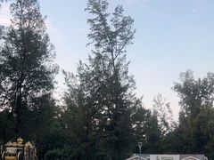 -玫瑰海岸文化旅游度假区