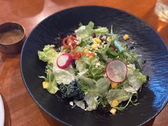 蔬菜沙拉-布拉格餐厅· 中欧捷克菜(全国首店)