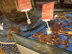 -紫阳富豪大酒店(惠南店)