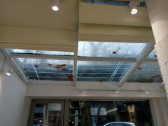 -Onirii Coffee(长乐路店)